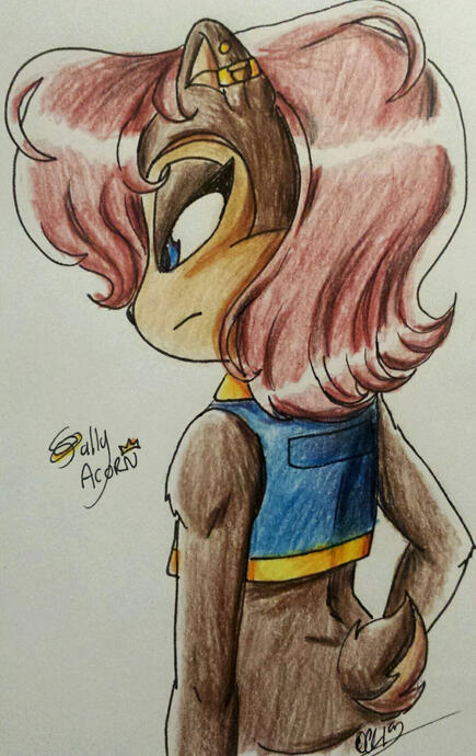 Sally Acorn (2019)
